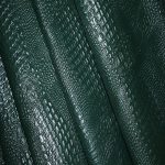 کروکودیل گاوی سبز یشمی