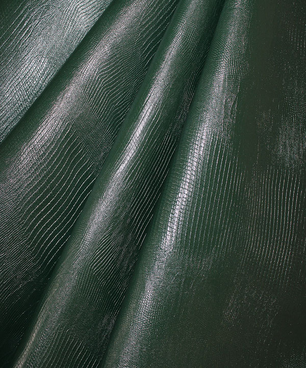 لیزارد بزی سبز یشمی